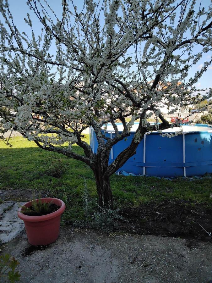 فيلا Casa Do Campo سيا المظهر الخارجي الصورة